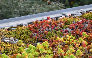 the cost of Barend green roof installation