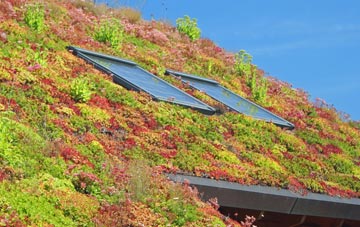 Barend living roof systems