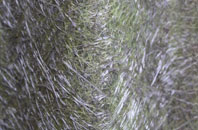 Barend fibreglass roof work